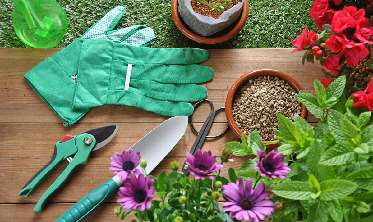 Green gardening gloves, pruners, a trowel, a bowl of seeds, and pink and red flowers laid out on a wooden table.