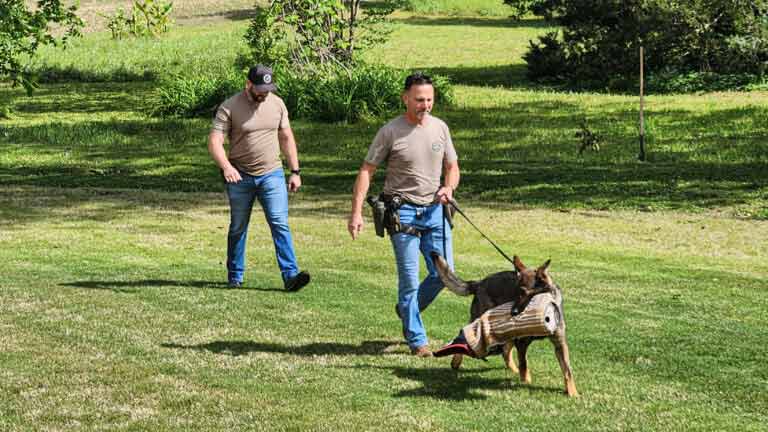Biscuits ’n Tips Highlights a Powerful K9 Law Enforcement Demonstration